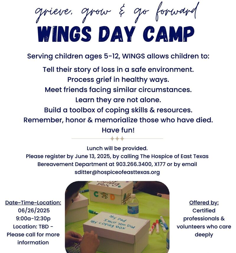 wings day camp flyer